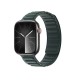 Aproce Dux Ducis BL Series Apple Watch 38/40/41mm Evergreen